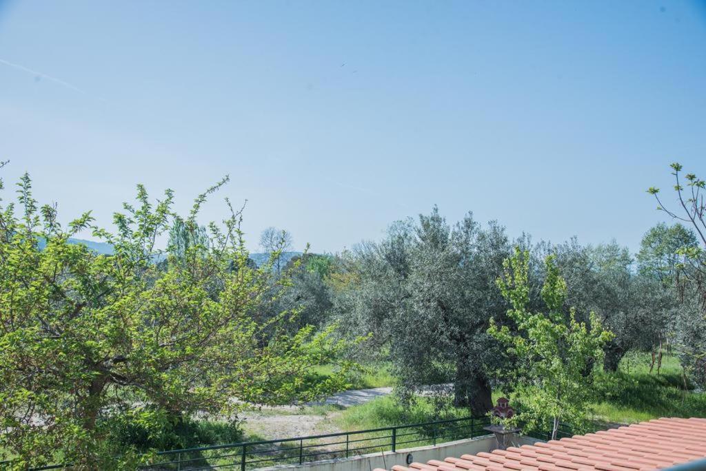 Diogenis Villa Vourvourou Exterior photo